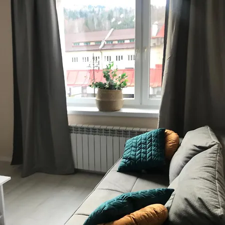 Vistula Centrum 4 Appartement Wisła