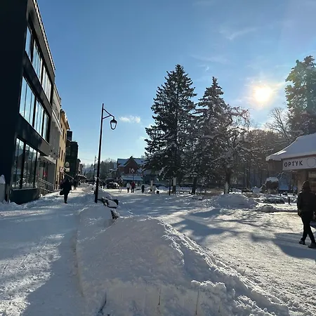 Vistula Centrum 4 * Wisła