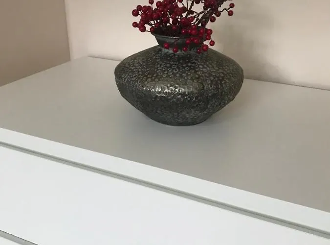 Daire Vistula Centrum 4 Wisła