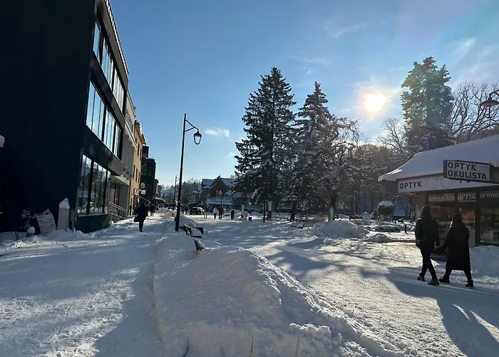 Vistula Centrum 4 * Wisła